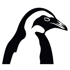 penguin on a white background