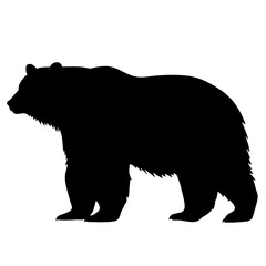 Silhouette bear isolated on white background