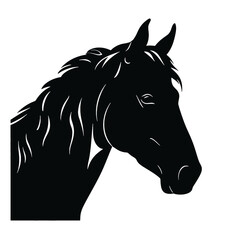 horse isolated on white