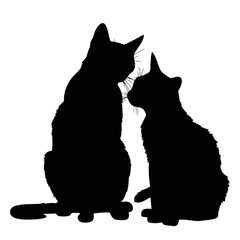 Fototapeta premium black and white cats