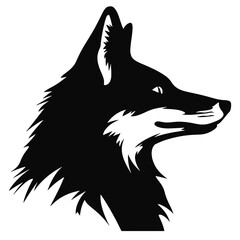 wolf head isolated on white