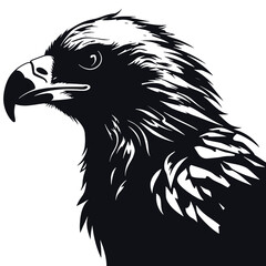 eagle head vector
