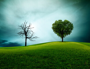 Klimawandel veranschaulicht an einem Kahlen Baum und einem grünen Baum