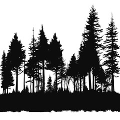 forest  silhouette 