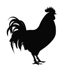 rooster   Silhouette