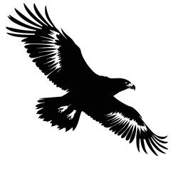 eagle silhouette vector