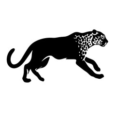 silhouette of a leopard