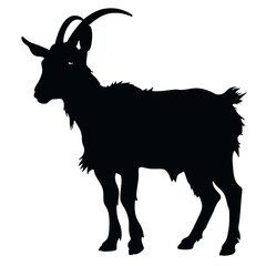 goat on a white background