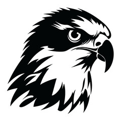 eagle head isolated on white