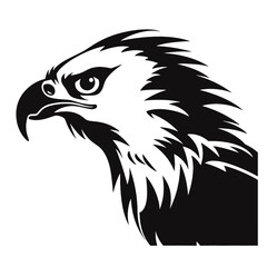 bald eagle head