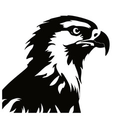 eagle head vector