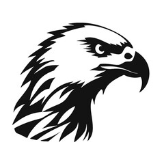 american bald eagle