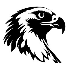 eagle head illustration isolated