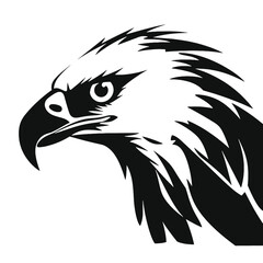 Obraz premium bald eagle head
