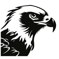 eagle head vector