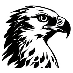 eagle head isolated on white