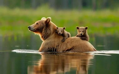Fototapeten Bear family with 2 little kids. Generative AI © Nipawan