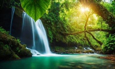 Crédence de cuisine en verre imprimé Vert Beautiful mountain rainforest waterfall with fast flowing water and rocks, amazing nature