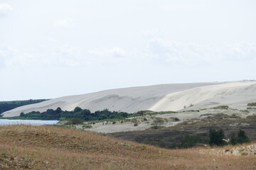 Hohe Düne am Kurischen Haff