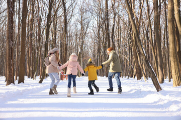 Fototapeta na wymiar Family walking in sunny snowy forest, back view