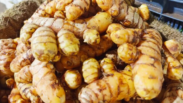 Fresh turmeric roots in a basket display at a market Asia street vegetable bazaar