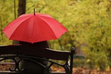 Woman with red umbrella sitting on bench in autumn park, back view. Space for text