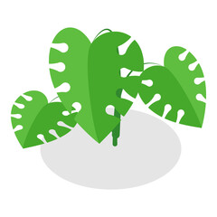 3D Isometric Flat  Set of Plants In Pots. Item 12