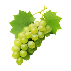 Green grapes with leaf soft smooth lighting