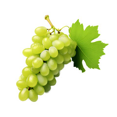 Fototapeta premium Green grapes with leaf soft smooth lighting