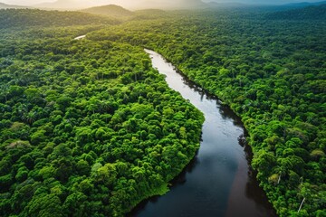 Majestic River Flowing Through a Verdant Forest, Aerial view of a winding river through a lush rainforest, AI Generated