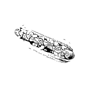 Black and white sketch of hotdog image with transparent background
