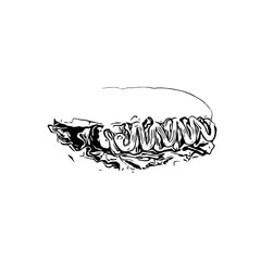 Black and white sketch of hotdog image with transparent background