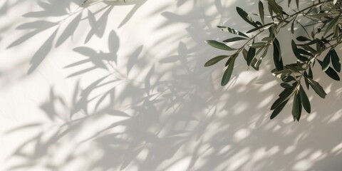 Tranquil Tropical Scene With A Softly Swinging Olive Tree Branch Shadow On A White Wall. Сoncept Golden Hour Beach Vibes, Whimsical Sunflower Field, Rustic Barn Portrait, Urban Graffiti Street Art