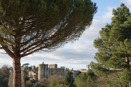 Vue du ch&acirc;teau de Clisson depuis le domaine de la Garenne Lemot