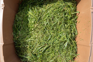 Brown organic garbage bucket with cut grass