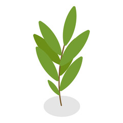 3D Isometric Flat Vector Set of Plants In Pots, Home Indoor Green Decor. Item 9