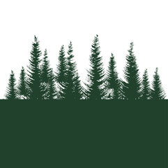 tree branches forest for hiking vector illustration