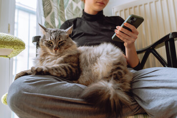 teenage girl sitting on chair, holding cat and looking at phone