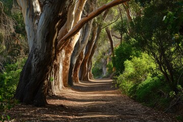 Obraz premium A dirt road winds its way through a lush forest with an abundance of trees and bushes, An inviting scenic trail under a canopy of whispering eucalyptus trees, AI Generated