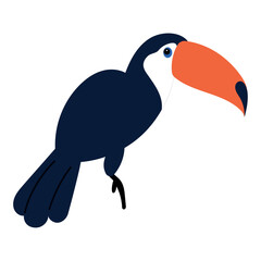 Colored toucan Tropical brazilian bird Vector illustration