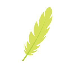 Colored bird feather Decorative object Vector illustration