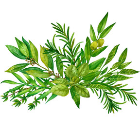 Watercolor hand painted banner with green leaves and branches. Spring or summer flowers for invitation, wedding or greeting cards. Floral design for wedding invitations, greeting cards, prints.