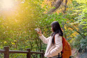 Woman traveler with backpack taking a photo of beautiful nature fall foliage tree in autumn season, confident woman travel alone concept.