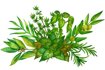 Watercolor hand painted banner with green leaves and branches. Spring or summer flowers for invitation, wedding or greeting cards. Floral design for wedding invitations, greeting cards, prints.