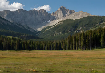 Fototapeta na wymiar rocky mountain meadow with larch trees and mountain range in the background