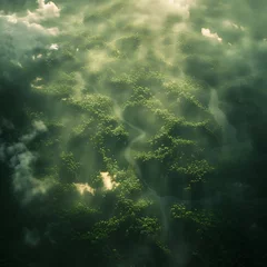 Photo sur Plexiglas Olive verte Raios solares filtrando-se pela neblina na floresta amazônica