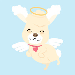 White curly little cute poodle with angel wings
