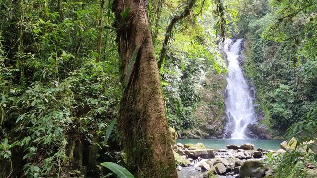 Espectacular ca&iacute;da de agua en medio del bosque en el Valle de Anton en panam&aacute;.