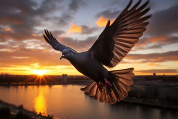 Pigeon flying wing. Message flight bird. Generate Ai