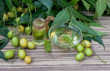 Neem Oil or Azadirachta Indica Oil in a Glass Bowl and Bottle with Neem Leaves and Fruit Isolated on Wooden Background with Copy Space, Also Known as Margosa, Nimtree or Indian Lilac, Uses Ayurvedic